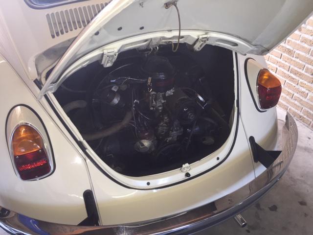 BUG WORKS,vw,���,�r�[�g��,1968,�^�C�v1